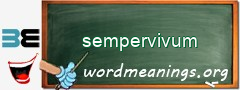 WordMeaning blackboard for sempervivum